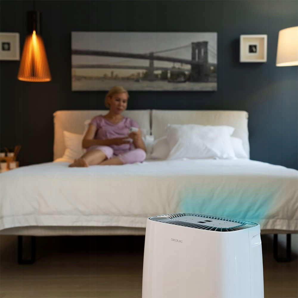 Osuszacz Powietrza Poves BigDry 4000 Expert Connected Timer WiFi 10L