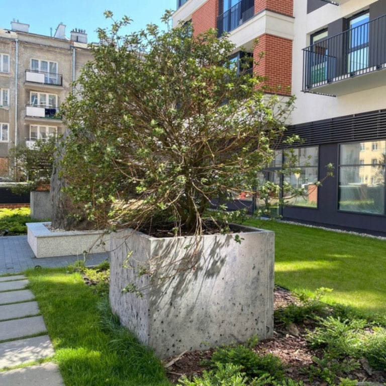 Donica Betonowa MROZOODPORNA Beton Architektoniczny 110kg | 50x50x50 Poves