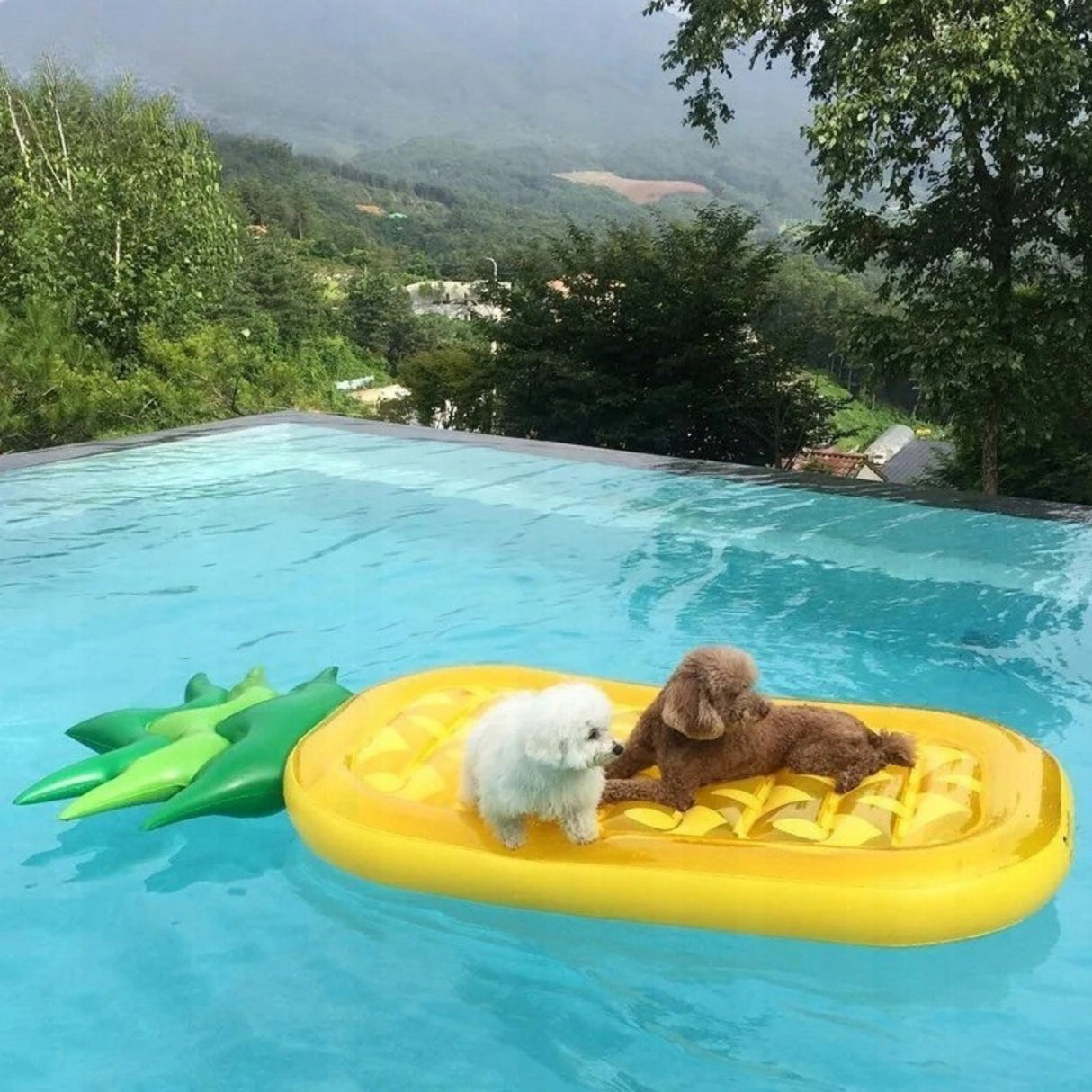 Ananas Dmuchany Pływak Wodny Nadmuchiwany Plażowy na Basen 190cm x 90cm