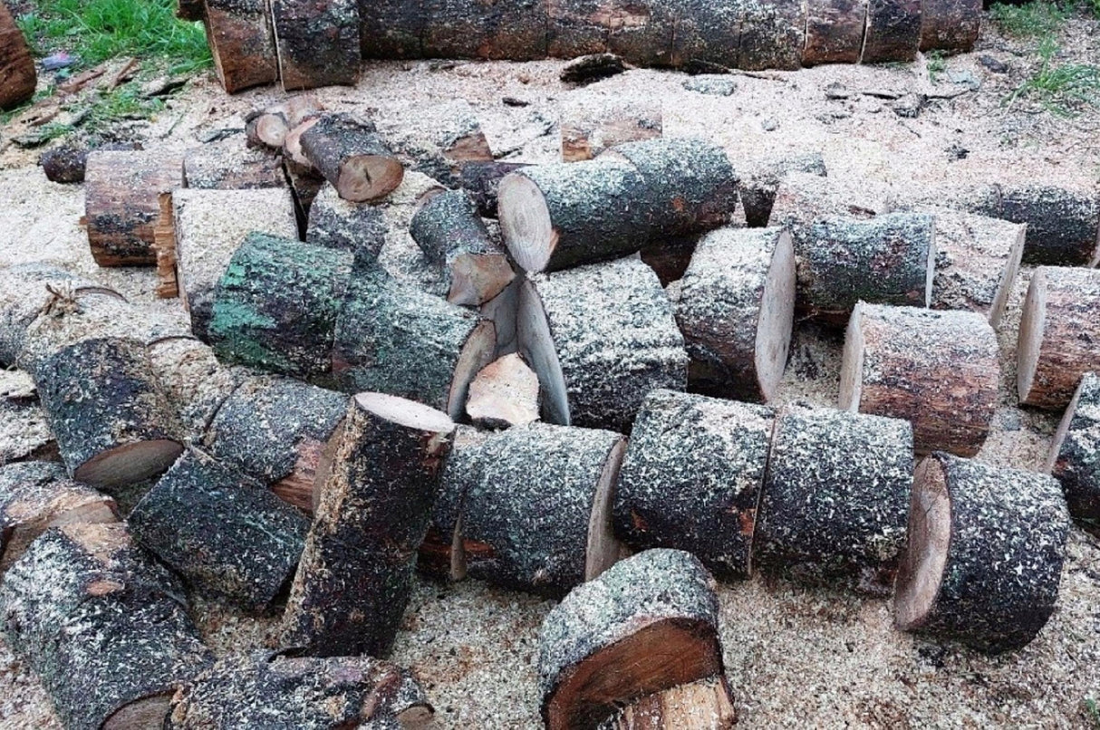 Piła Łańcuchowa Spalinowa Mocna Pilarka XXL 2xŁańcuch Prowadnica Olej 5,7KM