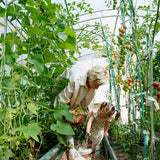 FOLIA ZAMIENNA Do Tunelu WYSOKA JAKOŚĆ 3/6/2m Tunel Foliowy Ogrodowy 18 m²