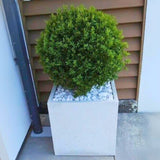 Donica Betonowa MROZOODPORNA Beton Architektoniczny 70kg | 40x40x40| Poves