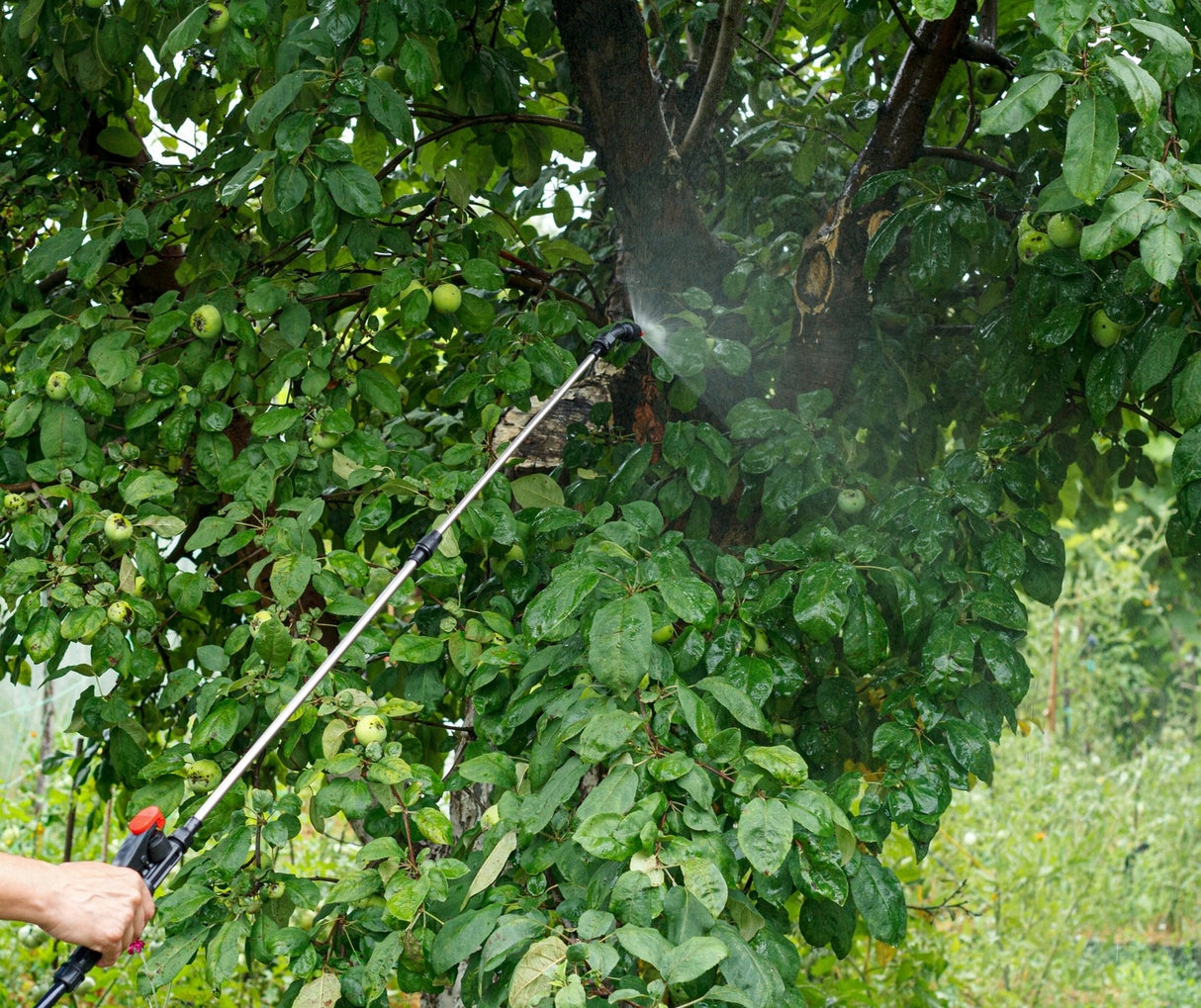 Opryskiwacz Ciśnieniowy Przenośny Plecakowy Akumulatorowy 10L Pojemności