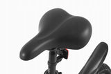 Rower Elektryczny Miejski Składany Czarny 36V 250W 10Ah Wyjmowawna Bateria