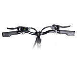 Rower Elektryczny Miejski eBike Aluminiowa 250W Koło 20" Cali Rama 20" Cali